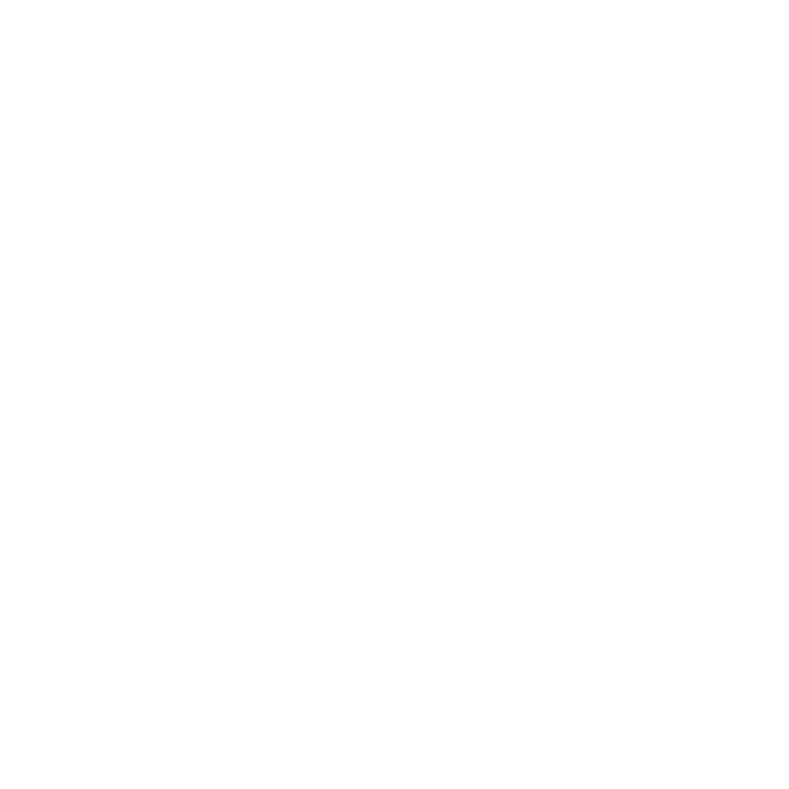 HYLS LOGO_HYLS LOGO WHITE